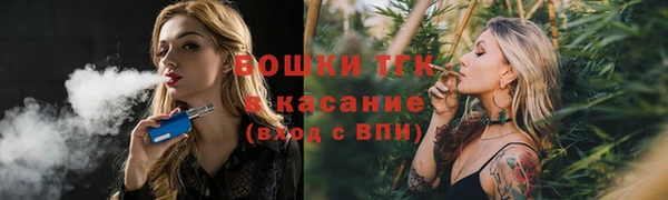 твердый Алексеевка