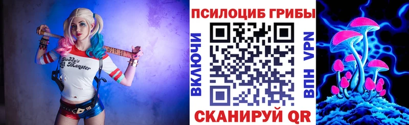 где купить   Холм  Галлюциногенные грибы MAGIC MUSHROOMS 